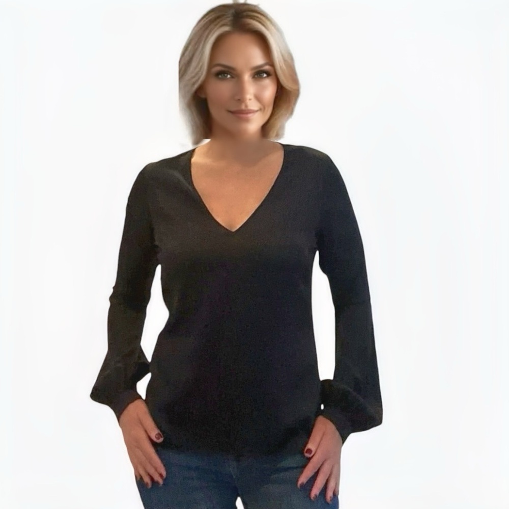 Ramy Brook silk v-neck long sleeve blouse.